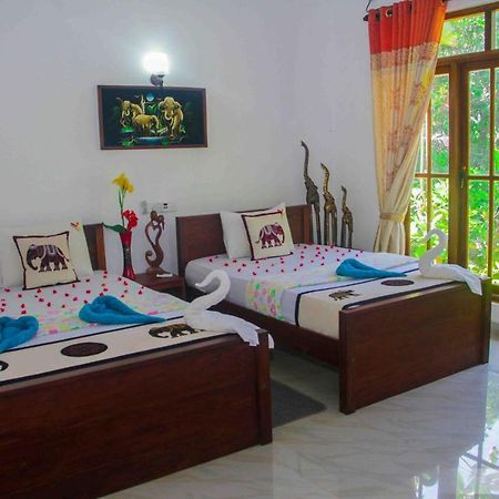 Hotel Hungry Lion Sigirîya Extérieur photo
