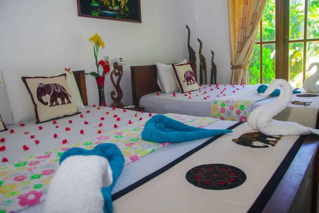 Hotel Hungry Lion Sigirîya Extérieur photo